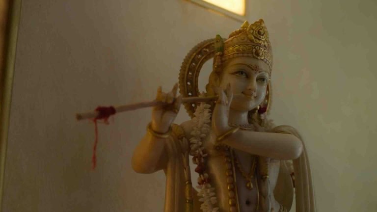 Scopri Ananda